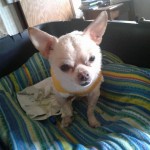 PJ- crushed pelvis/punctured lung